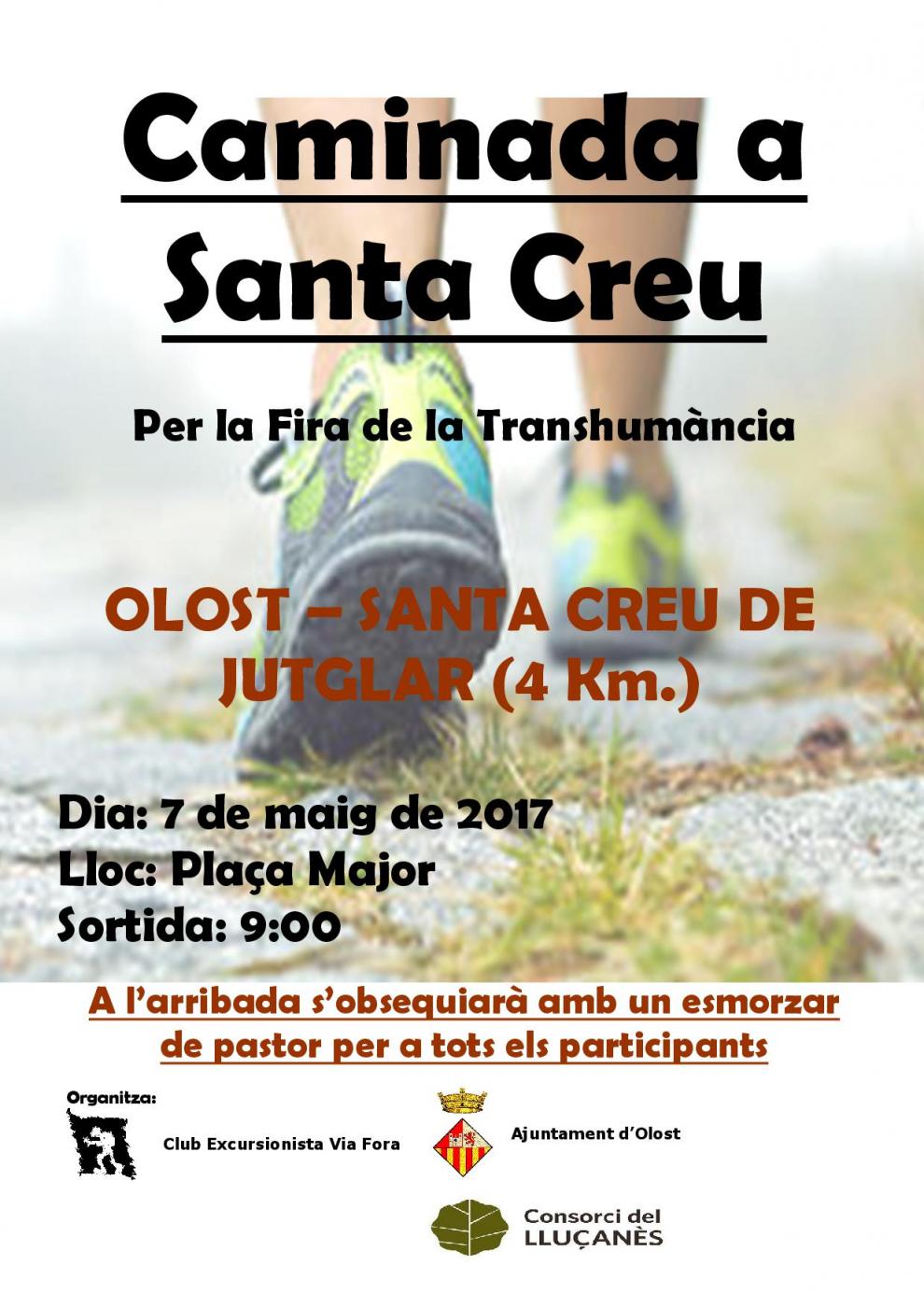 Caminada a Santa Creu per la Fira de la Transhumància